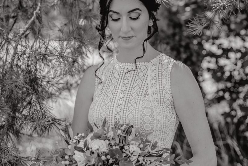 Blog / KITTI v GEMMA - foto